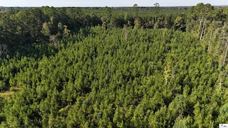 000 Alton Auger Rd, Marion, LA 71260