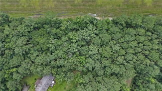 Lot 43 Freedom Trail SW, Townsend, GA 31331