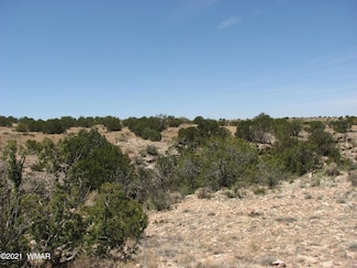 546 Flat Bush Rd, Heber, AZ 85928