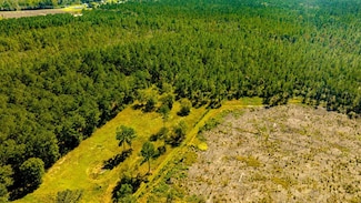 0 Bay Branch Church Rd Unit 25551331, Claxton, GA 30417