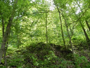 TBD E River, Shoals, IN 47581