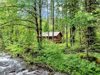47 Govt Mineral Springs, Carson, WA 98610