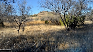0 Lot 11 Tanglehead Ln Unit . 22231139, Patagonia, AZ 85624