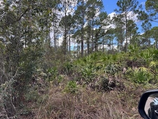 0 12th Ave Unit MFRV4945776, Deland, FL 32724