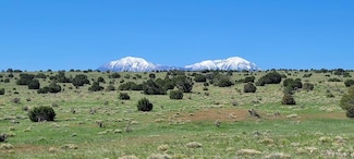 77 Rio Cucharas, Walsenburg, CO 81089
