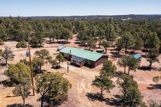 18 N Bar S Trail, Pie Town, NM 87827
