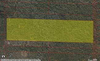 0 Acreage Unit 225074246, Naples, FL 34117