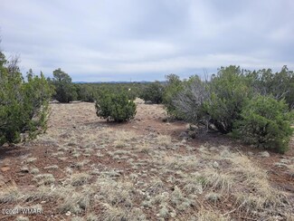 186, Concho, AZ 85924