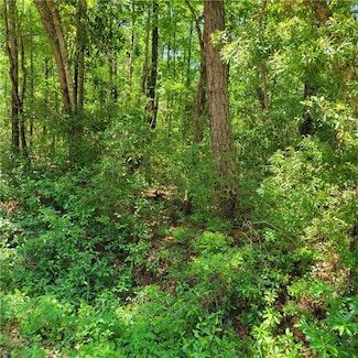 0 5th Ave Unit 7577179, Bellfontaine, AL 36582