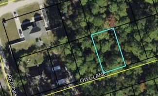 Lot 57 Owl Ln, Crawfordville, FL 32327