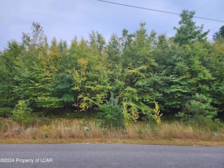 MVII 183 Stoney Mountain Dr, Hazle Township, PA 18202
