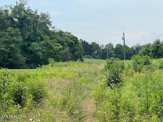 Lot 14R1 Pleasant View Cemetery Rd, New Market, TN 37820