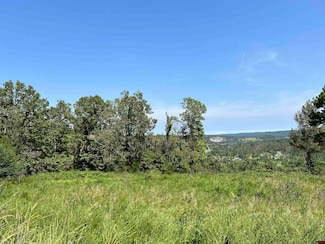 002-11229-006 Rustic Ridge Dr, Norfork, AR 72653
