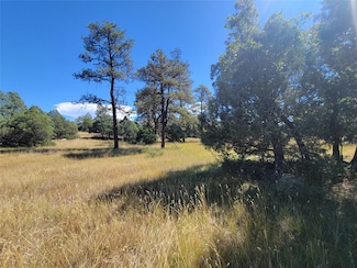 64 Rim Dr Unit 1, Los Ojos, NM 87551
