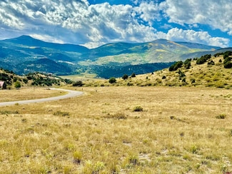 895 Bear Creek Cir, South Fork, CO 81154
