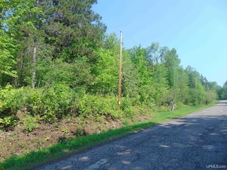 TBD 1 Alston Rd, Laird Township, MI 49958