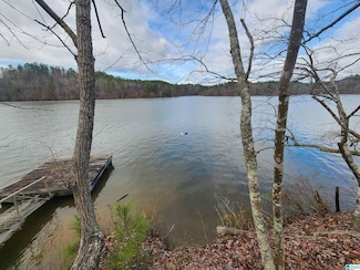 Lot 8 Eagle Point Rd Unit 1, Rockford, AL 35136