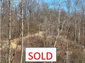 0 Swan Creek Bypass, Jonesville, NC 28642