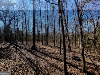 LOT 5 Majestic Shores Rd, Reed Creek, GA 30643