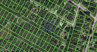 1056 Freehill Ave, Lake Placid, FL 33852