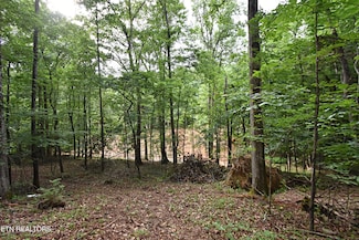 0 Early Rd Unit 3 1307350, Knoxville, TN 37922