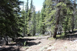 Group 6 Lamartine Rd Unit 6510, 12667, Idaho Springs, CO 80452