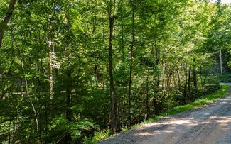 LT 12 Hickory Dr, Mineral Bluff, GA 30559