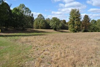0 Ashallen Rd Unit RA20194825, Morgantown, KY 42261