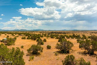 3054 E Silver Valley Rd, Williams, AZ 86046