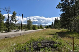 891 Twisp Carlton Rd, Twisp, WA 98856