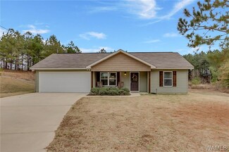 19615 Wenwood Cir, Berry, AL 35546