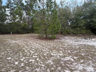 101 Quail Acre Rd, Pomona Park, FL 32181
