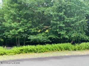 57 Sassafras Ln, Hazle Township, PA 18202