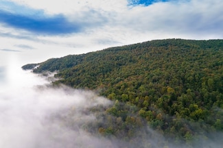 0 Robertson Mountain Rd Unit LotWP001 22435262, Narrows, VA 24124