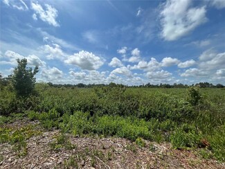16118 NW 298th St, Okeechobee, FL 34972