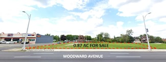 12921 Woodward Ave, Detroit, MI 48203