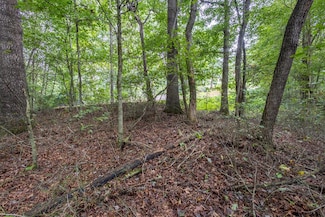 3 AC Chestnut Flats Rd, Andrews, NC 28901