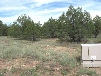 465 Homestead Rd, Young, AZ 85554
