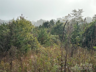 0 Hopewell Rd Unit CAR4310549, Morganton, NC 28655