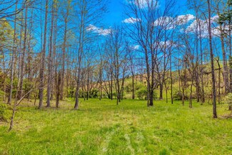 00 Joe Stephens Rd, Morristown, TN 37814