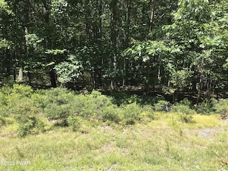 1301 Dewberry Dr, Paupack Township, PA 18428
