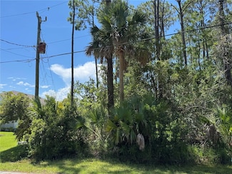 4 Potterville Ln, Palm Coast, FL 32164