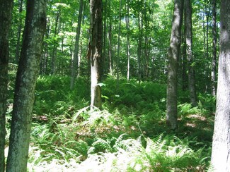 Lot 8 W Hill Dr, Readsboro, VT 05350