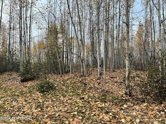 Tr A S Horseshoe Lake Rd, Big Lake, AK 99654