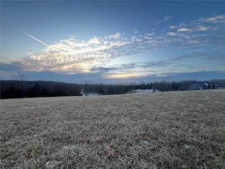 3628 Platinum Ct, de Soto, MO 63020