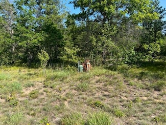 Lot 15 Northwood Dr, Grayling Township, MI 49738