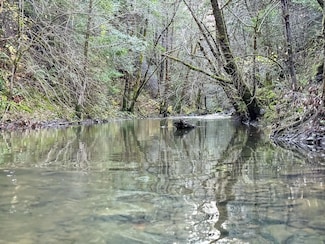 5200 Briceland Rd, Redway, CA 95560