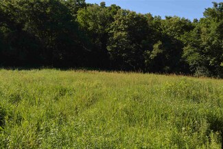 L6 Strang Hollow Rd, Bear Creek, WI 53588