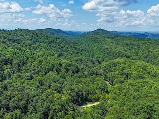 144 Burchfield Rd, Rogersville, TN 37857
