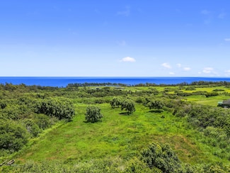 53-338 Akana Place, Kapaau, HI 96755